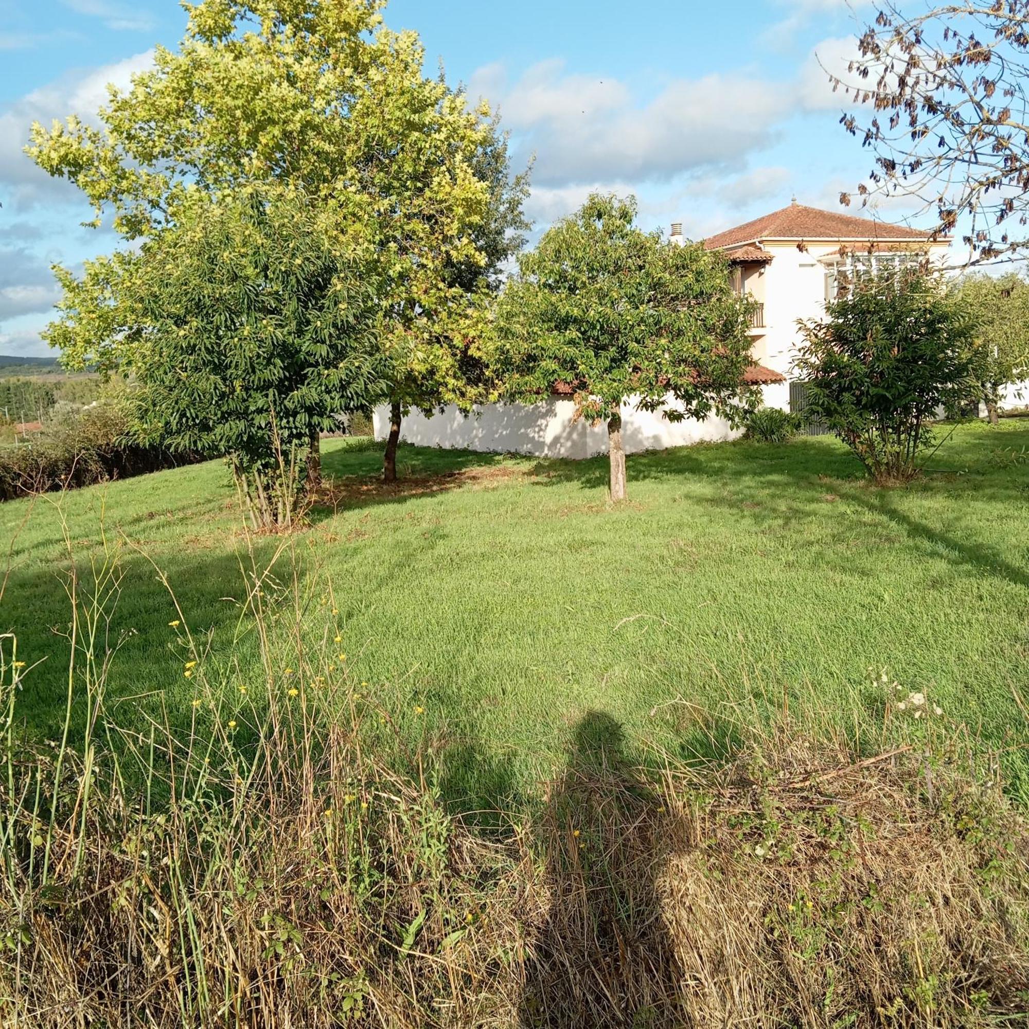O Toxal Vila Monforte De Lemos Exterior foto